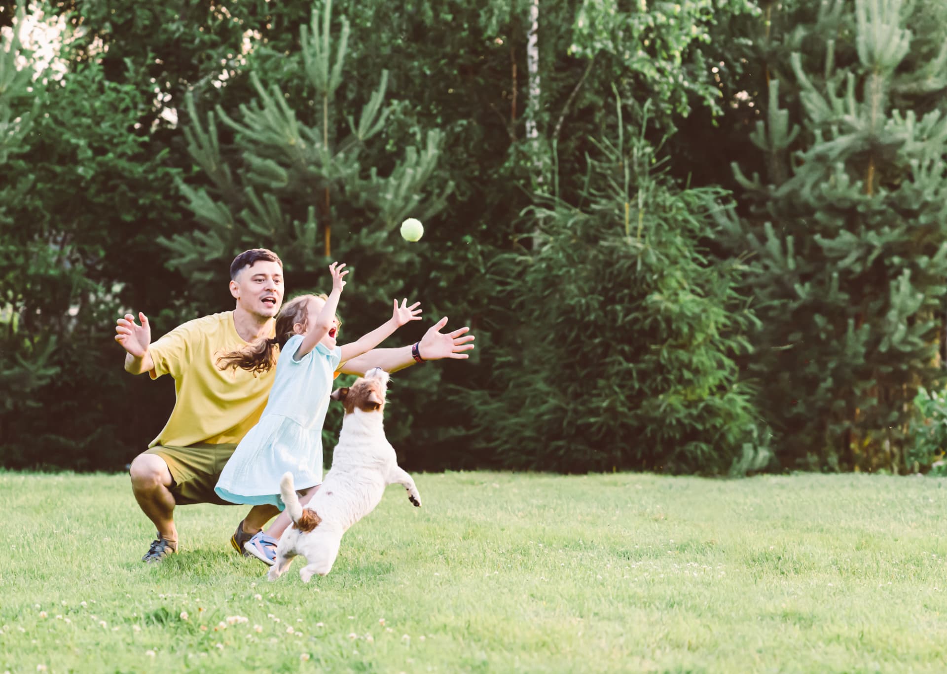 All-natural tick control North Fork Long Island Family and dog playing on a North Fork Long Island lawn beside a treated tree line