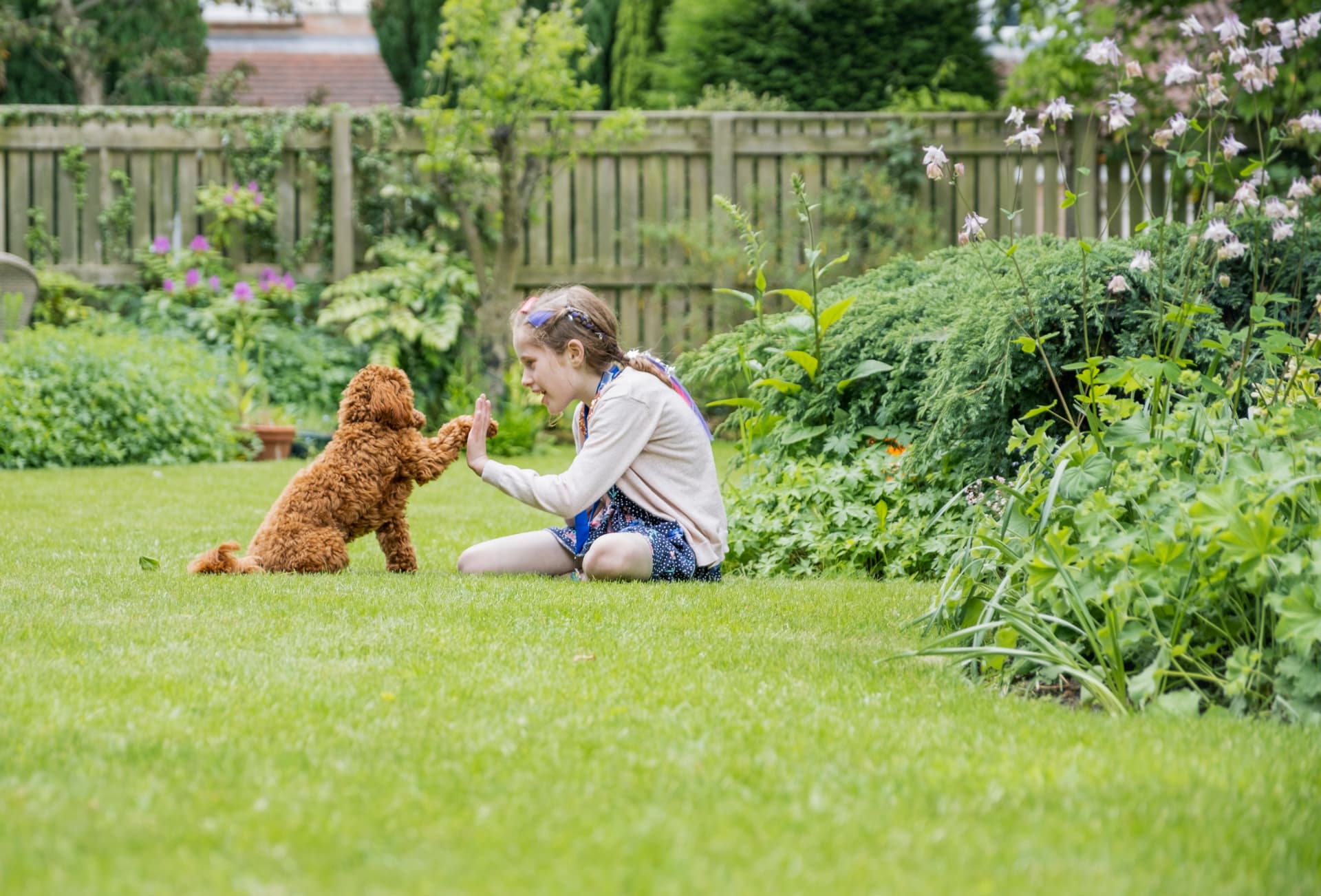 North Fork yards stay safe for kids and pets Girl playing with a puppy on a natural tick-treated North Fork backyard lawn